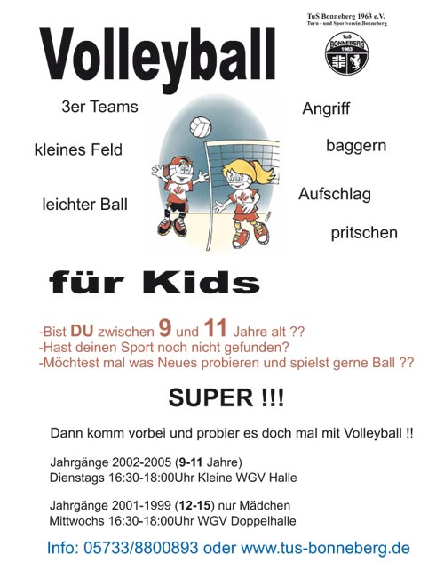 Flyer-Minis-homepage